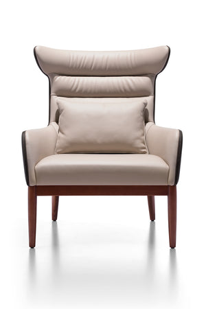Lounge Chair (B-LS878)