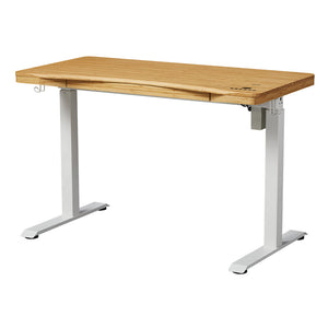 Single Motor Electric Sit to Stand Workstation with In-Built Drawer, Height Adjustable with Supportive Legs, Bamboo Top (R3071)